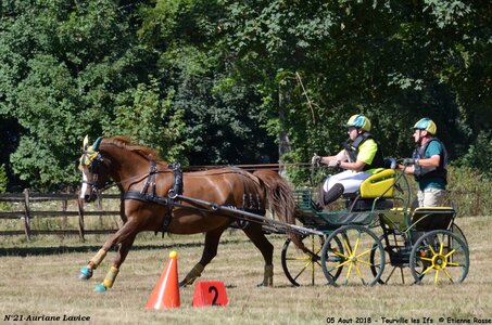 2018-08-05 CCA Tourville les Ilfs - La Renaissance 2018, 21-DSC_6575