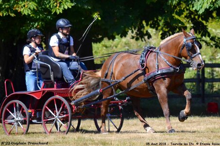 2018-08-05 CCA Tourville les Ilfs - La Renaissance 2018, 22-DSC_6442