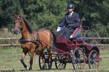 2018-08-05 CCA Tourville les Ilfs - La Renaissance 2018, 23-DSC_6147
