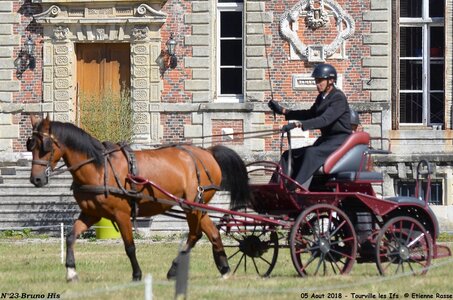 2018-08-05 CCA Tourville les Ilfs - La Renaissance 2018, 23-DSC_6154