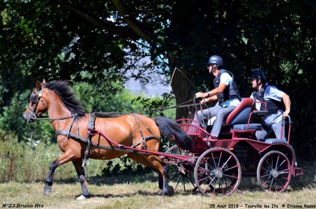 2018-08-05 CCA Tourville les Ilfs - La Renaissance 2018, 23-DSC_6331