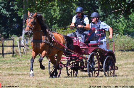 2018-08-05 CCA Tourville les Ilfs - La Renaissance 2018, 23-DSC_6338