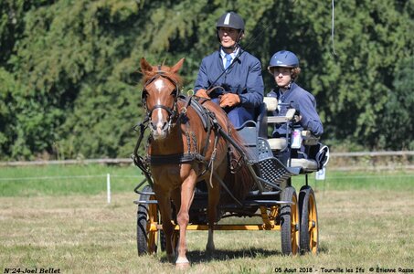 2018-08-05 CCA Tourville les Ilfs - La Renaissance 2018, 24-DSC_6164