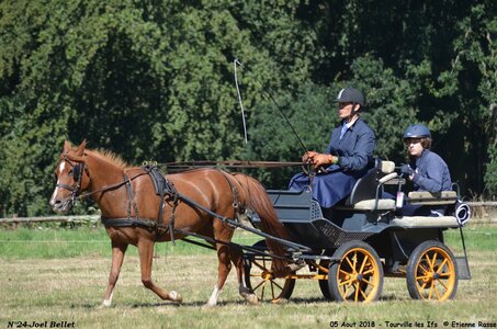 2018-08-05 CCA Tourville les Ilfs - La Renaissance 2018, 24-DSC_6172