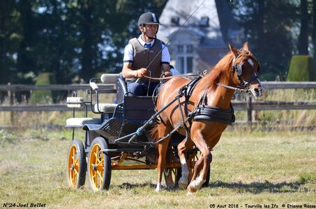 2018-08-05 CCA Tourville les Ilfs - La Renaissance 2018, 24-DSC_6722