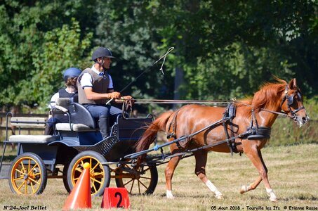 2018-08-05 CCA Tourville les Ilfs - La Renaissance 2018, 24-DSC_6738