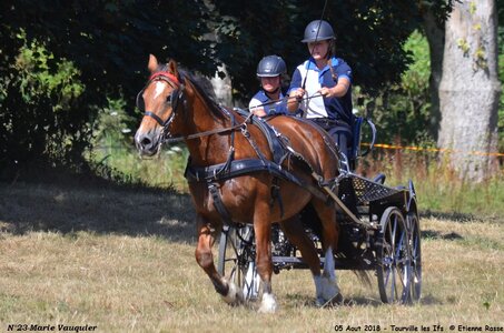 2018-08-05 CCA Tourville les Ilfs - La Renaissance 2018, 25-DSC_6642