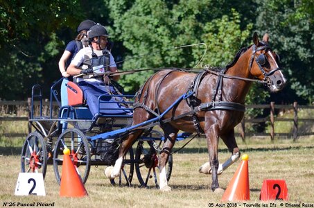 2018-08-05 CCA Tourville les Ilfs - La Renaissance 2018, 26-DSC_6662