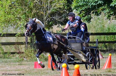 2018-08-05 CCA Tourville les Ilfs - La Renaissance 2018, 27-DSC_6497