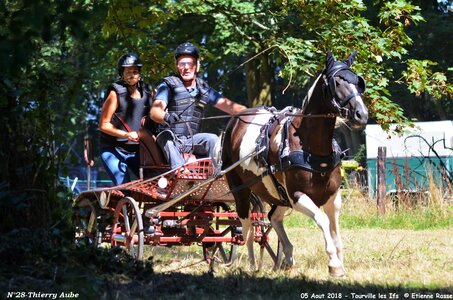 2018-08-05 CCA Tourville les Ilfs - La Renaissance 2018, 28-DSC_6350