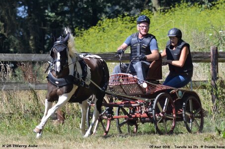 2018-08-05 CCA Tourville les Ilfs - La Renaissance 2018, 28-DSC_6365