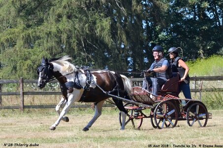 2018-08-05 CCA Tourville les Ilfs - La Renaissance 2018, 28-DSC_6377