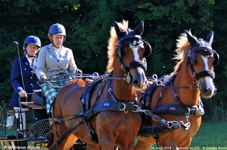 2018-08-05 CCA Tourville les Ilfs - La Renaissance 2018, 29-DSC_6113