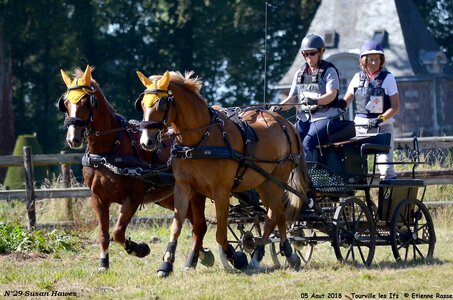 2018-08-05 CCA Tourville les Ilfs - La Renaissance 2018, 29-DSC_6755