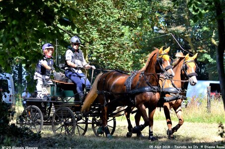 2018-08-05 CCA Tourville les Ilfs - La Renaissance 2018, 29-DSC_6765
