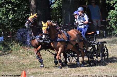 2018-08-05 CCA Tourville les Ilfs - La Renaissance 2018, 29-DSC_6771