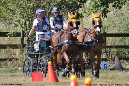 2018-08-05 CCA Tourville les Ilfs - La Renaissance 2018, 29-DSC_6794