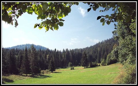 Moyenne montagne, Moyenne montagne 1 - Espace protecteur