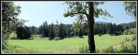 Moyenne montagne, Moyenne montagne 5 - On respire