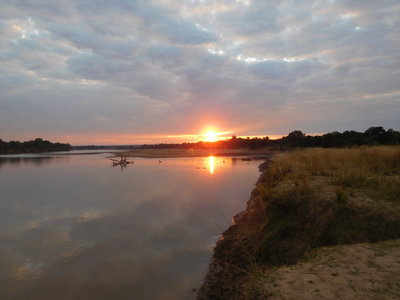 Zambie2018, DSCN3361SUP