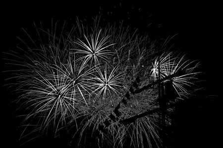 @fmbdx@piaille.fr 2018, Fête du vin 2018