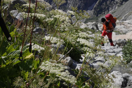 2018-08-11-14-roche-faurio, alpes-aventure-ecole-de-glace-2018-08-12-15