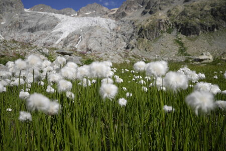 2018-08-11-14-roche-faurio, alpes-aventure-ecole-de-glace-2018-08-12-22