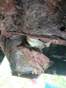 Escroquerie à la vente de véhicules ancêtres En Alsace en France., dscf7938-copier_rla