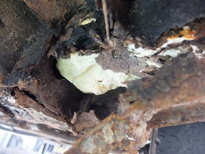Escroquerie à la vente de véhicules ancêtres En Alsace en France., dscf8821-copier_4zo