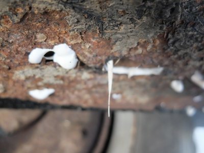 Escroquerie à la vente de véhicules ancêtres En Alsace en France., dscf8859-copier_zdk