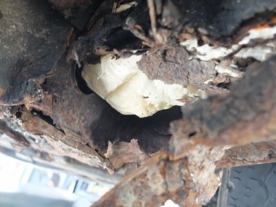 Escroquerie à la vente de véhicules ancêtres En Alsace en France., dscf8874-copier_zf2