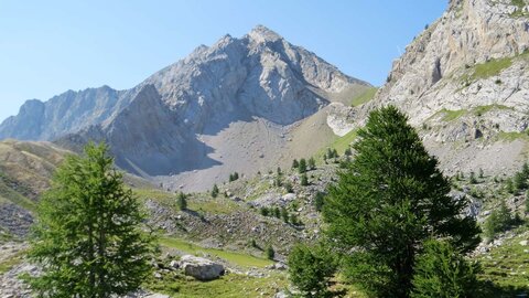 Mardi Joël, 8ziot79n