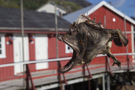 Lofoten_07-2018, IMG_1757