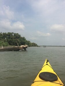 Camargues-28juillet2018, Nautisme_juin2018_0008