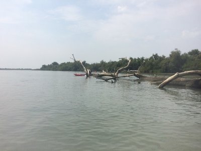 Camargues-28juillet2018, Nautisme_juin2018_0009