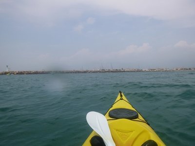 Camargues-28juillet2018, Nautisme_juin2018_0049