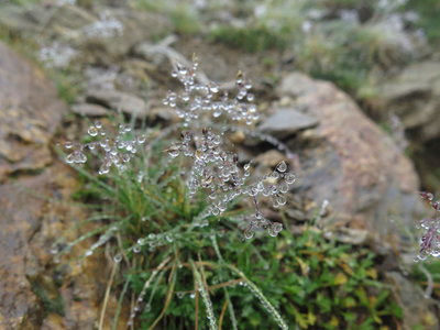 2018-08-27-09-02-mont-blanc, alpes-aventure-refuge-tete-rousse-2018-08-31-09
