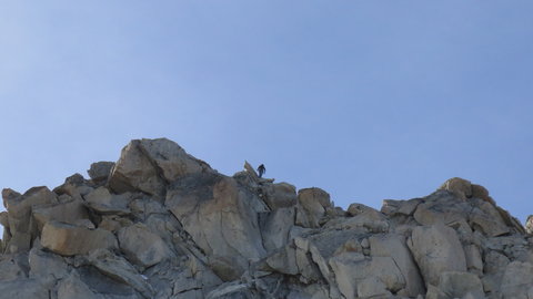 2018-08-27-09-02-mont-blanc, alpes-aventure-petite-fourche-trient-2018-08-29-09