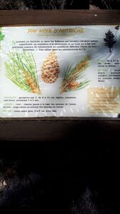 vendredi 7/09/2018, 20180910_143603
