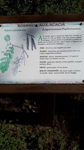 vendredi 7/09/2018, 20180910_144615