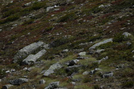 2018-09-10-vittorio-emanuele, refuge-vittorio-emanuele-alpes-aventure-2018-09-10-08