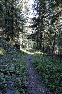 20180827-0914 GR5-53 modane menton, IMG_0066 le gr5 au lieu dit le filon _ 1390 m