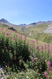 20180827-0914 GR5-53 modane menton, IMG_0075 entre la loza et la replanette