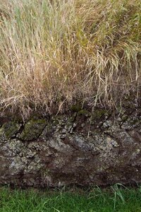 islande 21-08-2018, IMG_3142-2