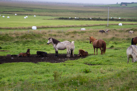 islande 21-08-2018, IMG_3152-2