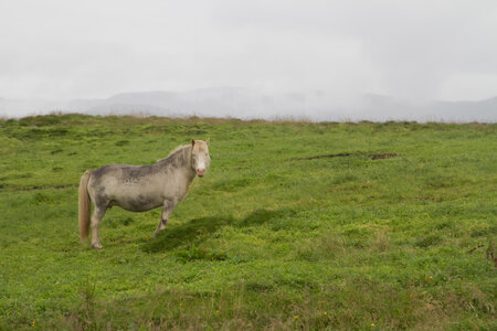 islande 21-08-2018, IMG_3154-2