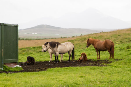 islande 21-08-2018, IMG_3156-2