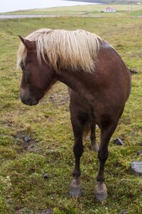 islande 21-08-2018, IMG_3181-2