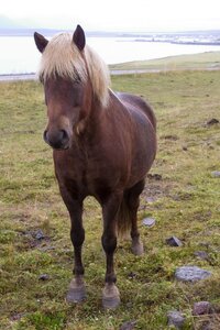 islande 21-08-2018, IMG_3182-2