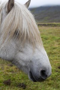 islande 21-08-2018, IMG_3183-2